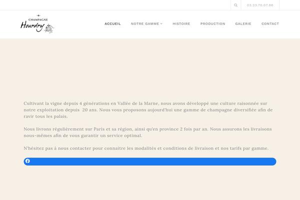 Belise-lite theme site design template sample