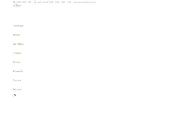 Site using Nex-forms plugin