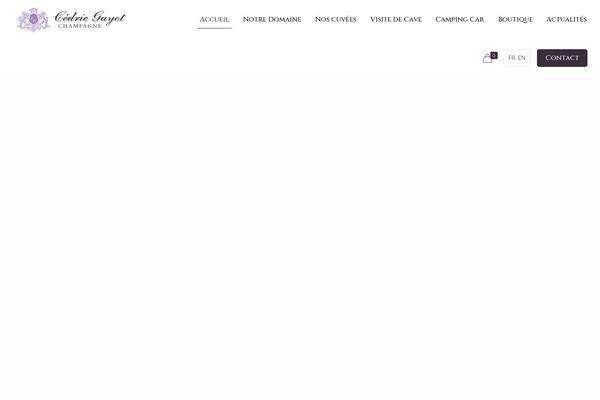 Site using Theme-masters-elementor plugin