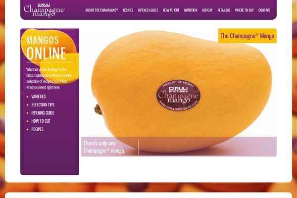 Mango theme site design template sample