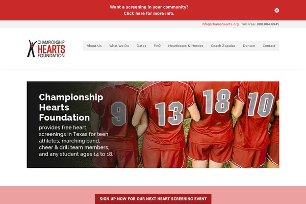 Metrolium theme site design template sample