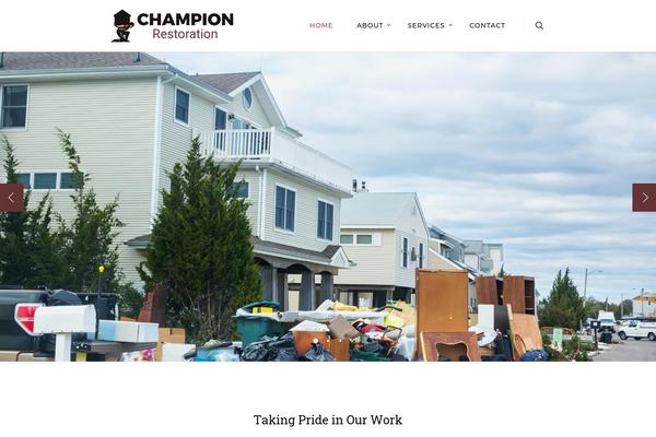 Salient theme site design template sample