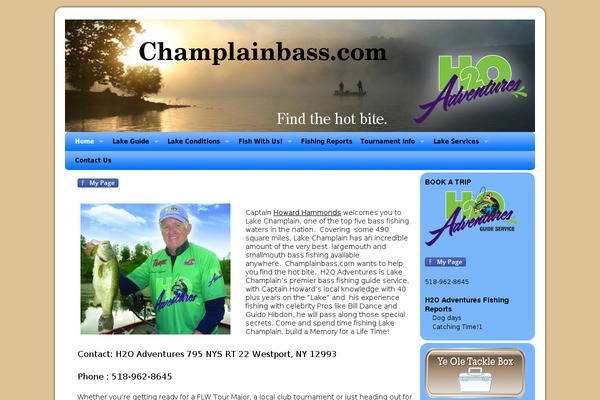 Weaver theme site design template sample