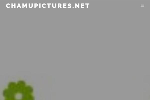 BIG PIX theme site design template sample