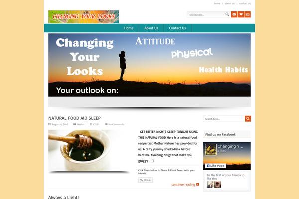 Wpboheme theme site design template sample