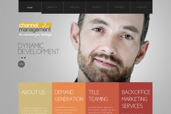 channelmanagement.it site used Theme1383