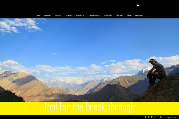 Site using Instagram Widget by WPZOOM plugin