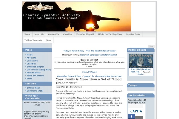 chaoticsynapticactivity.com site used Wp Multiflex 3