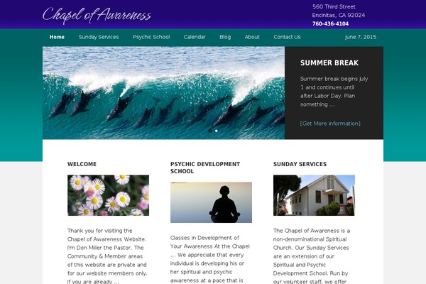 Executive theme site design template sample