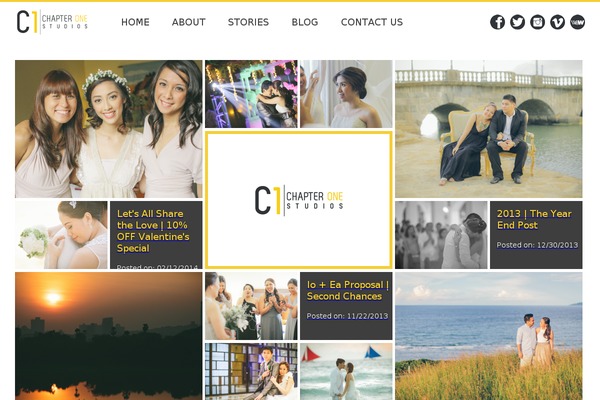 ChapterOne website example screenshot