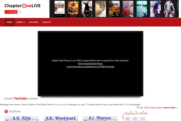 VideoTube theme site design template sample