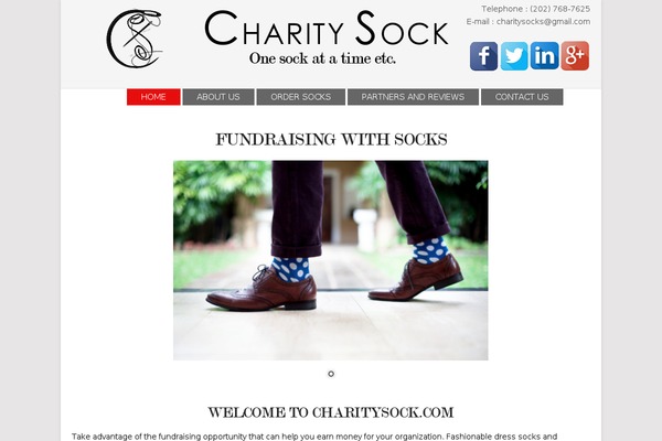 Point theme site design template sample