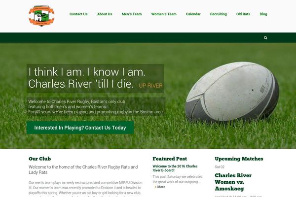 Sport theme site design template sample