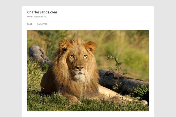 charlessands.com site used Twenty Twelve