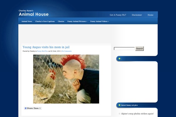 Studioblue theme site design template sample