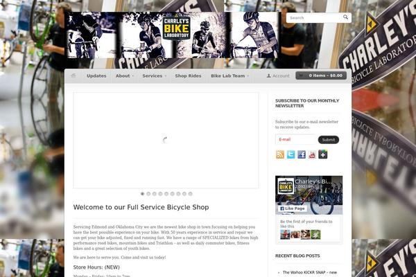 Woostore theme site design template sample