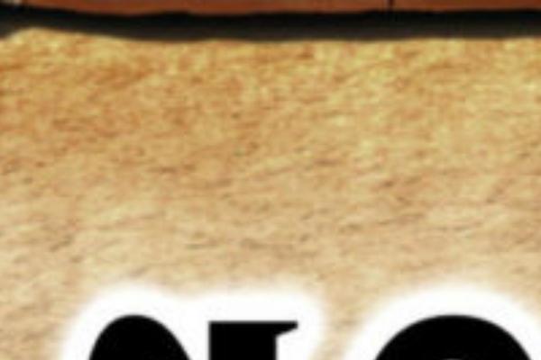 Twenty Seventeen theme site design template sample