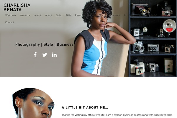 Themify-landing theme site design template sample