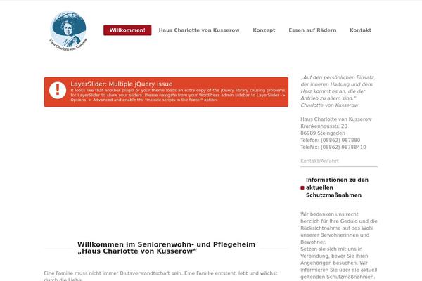 Startit theme site design template sample