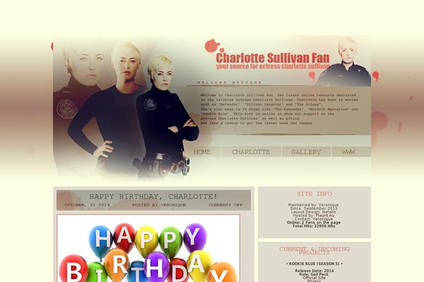 2N-WP-Theme2 theme websites examples