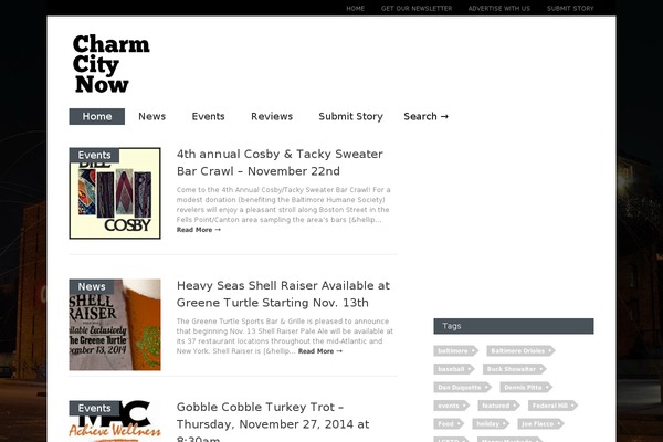 Gonzo theme site design template sample