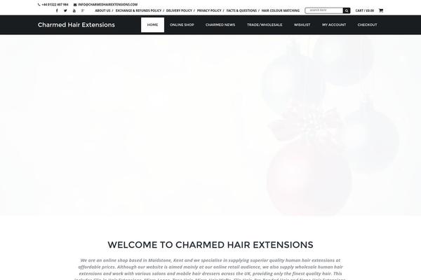 Big Point theme site design template sample