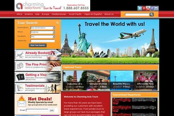 cat theme websites examples