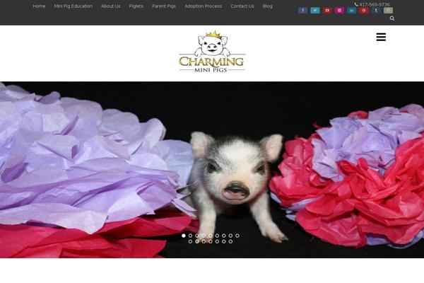 Optimizer_pro theme site design template sample