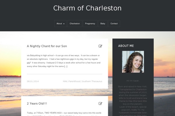 Diarjo Lite theme site design template sample