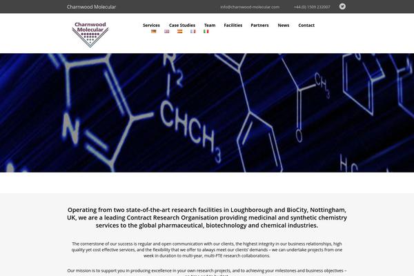 Bigwig theme site design template sample