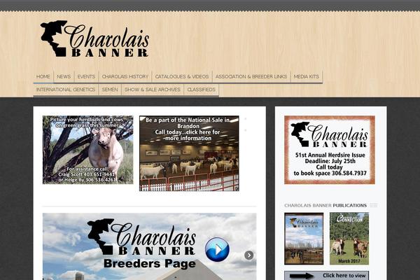 Site using Widgets in Columns plugin