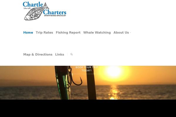 Salient theme site design template sample