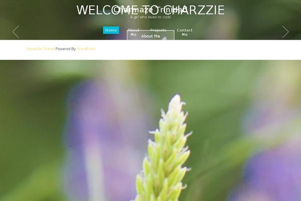 NovelLite theme site design template sample