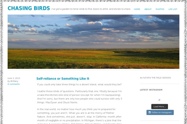 Yoko theme site design template sample