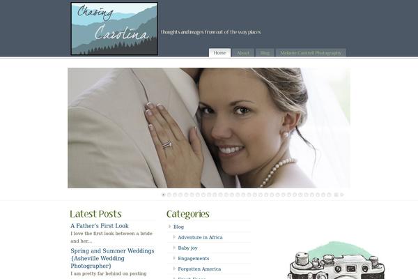 PureVISION theme site design template sample