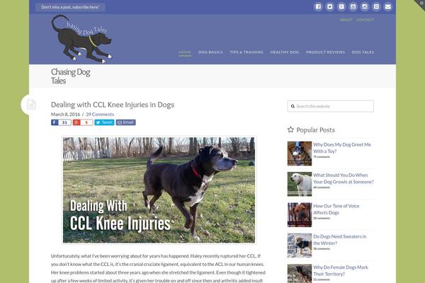 X-child-renew theme site design template sample