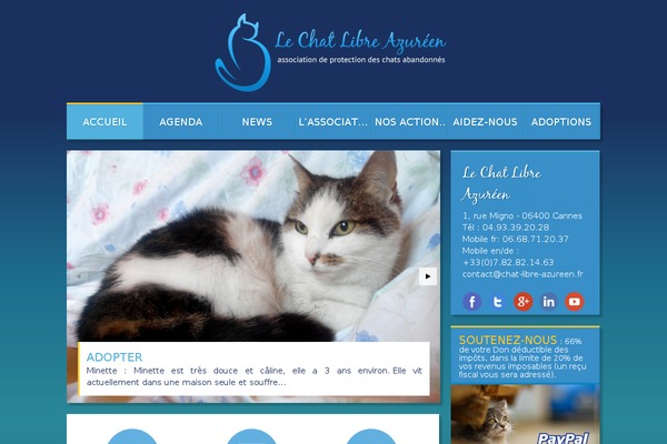 Site using Scroll Top plugin