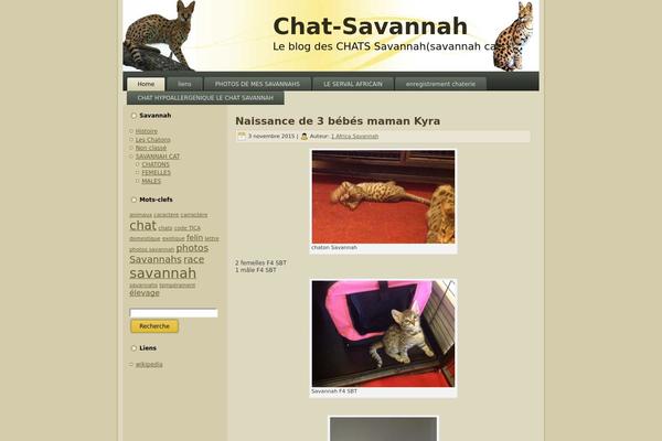 chat-savannah.com site used Savannah
