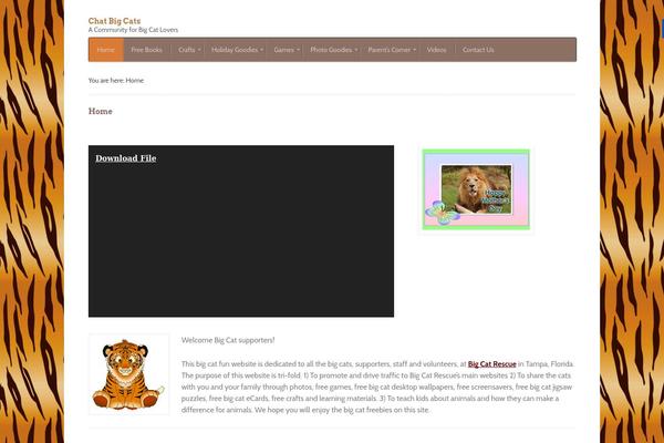 Function theme site design template sample