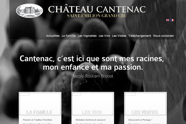 InStyle-old theme websites examples