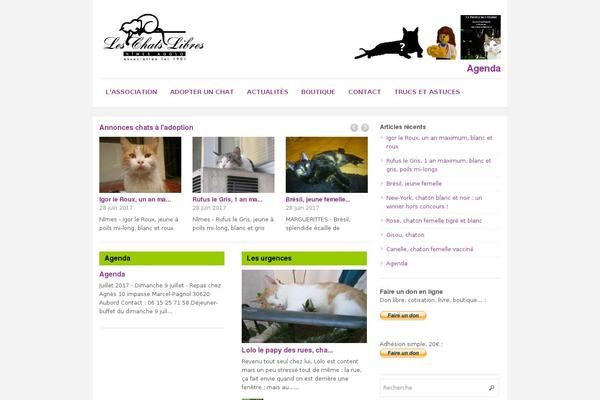 Max Magazine theme site design template sample