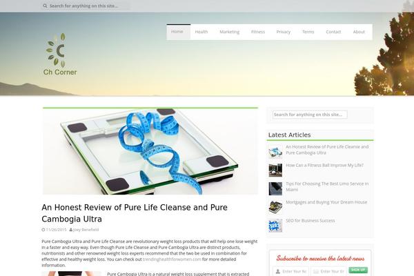 Aldehyde theme site design template sample