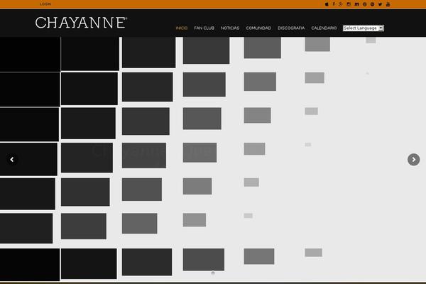 305internet theme websites examples