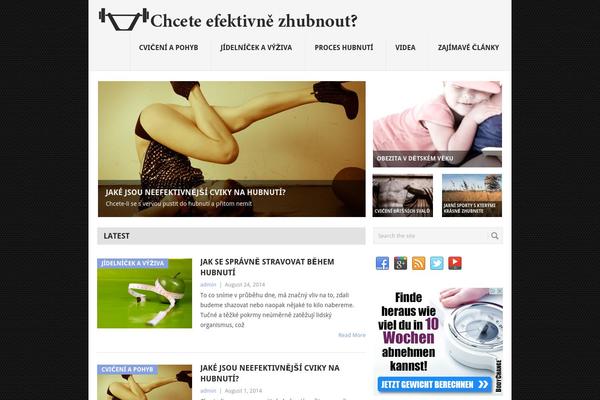 Point theme site design template sample