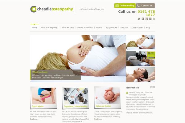 Beatymind theme site design template sample
