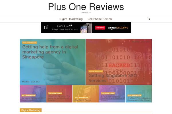 checkplusone.com site used Newsbulk