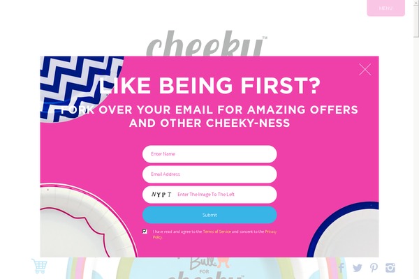 cheeky WordPress theme, websites list used cheeky theme cheeky theme websites examples