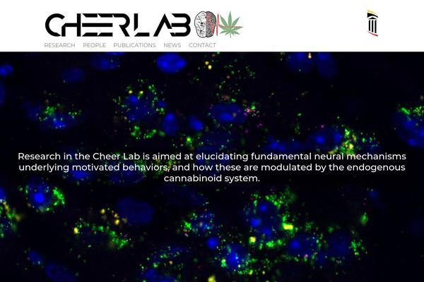 Site using LayerSlider plugin