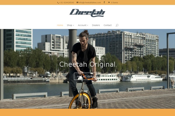 Site using WooCommerce plugin