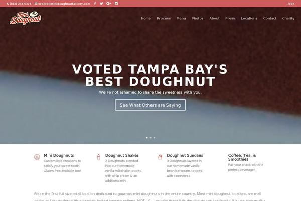 Site using Elfsight-instashow plugin